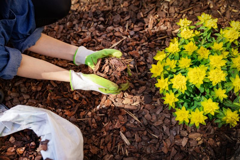 Mulch Spread in a Garden